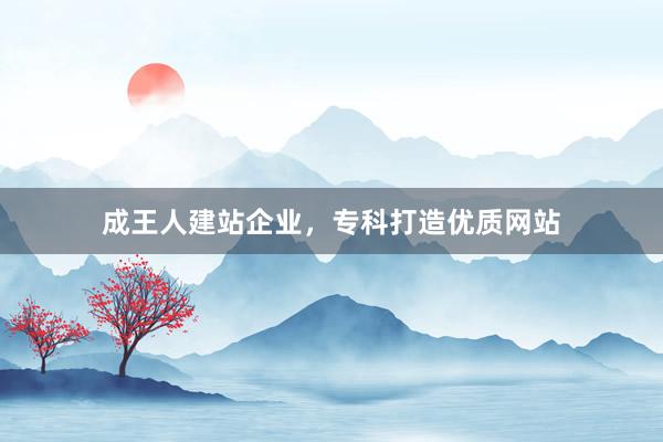 成王人建站企业，专科打造优质网站
