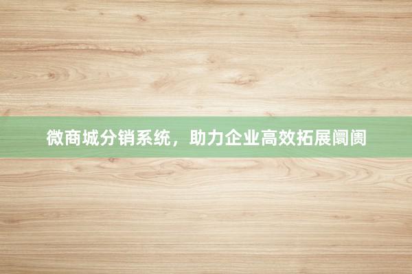 微商城分销系统，助力企业高效拓展阛阓